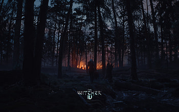 : The Witcher IV - Enigmatic Forest Adventure, video game, The Witcher IV HD wallpaper