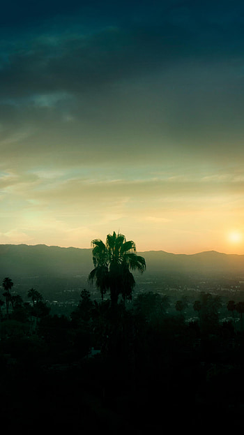 Once Upon a Time… in Hollywood (2022) movie HD phone wallpaper