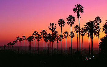 Aesthetic Vibes, Creative LA, Artistic Impressions, Inspiring Scenes HD wallpaper