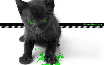 Animals, Cats, Art HD wallpaper