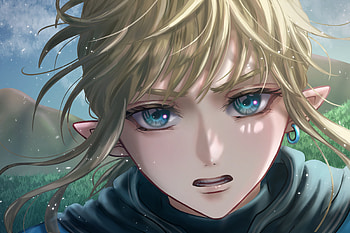 Link - Tears of the Kingdom: Quad Portrait, Link, video game, The Legend of Zelda: Tears of the Kingdom HD wallpaper