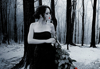 Lovely Girl, fantasy, forest, art, woman HD wallpaper