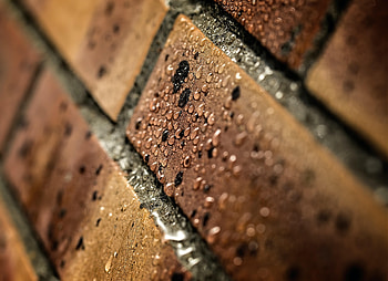 Drops, Macro, Wall HD wallpaper