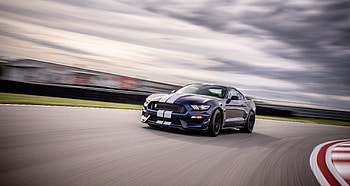 2019 Ford Mustang Shelby GT350, ford-mustang, shelby, ford, 2019-cars, cars HD wallpaper