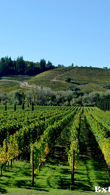 Wine country tour, Wine lovers' paradise, California wineries, Beaches and more HD phone wallpaper