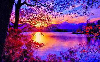 Sunset, Lake, Mountains, Branches, Trees HD wallpaper