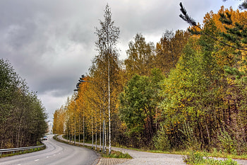 Auto, Nature, Trees, Autumn, Road, Forest, Asphalt, Mainly Cloudy, Overcast, Finland HD wallpaper