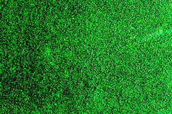 Close-up of lush green grass providing a vibrant texture background, perfect for nature and landscaping themes. HD wallpaper