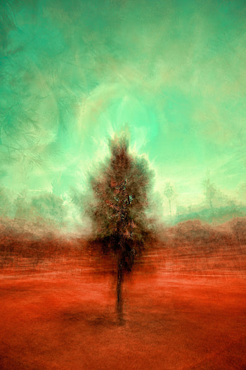 Abstract, Wood, Tree, Paint, Outlines HD phone wallpaper
