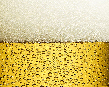 Food, Drinks, Beer HD wallpaper