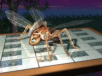 Unidentified Species, wings, bug, chess, unknown, checkers, board HD wallpaper