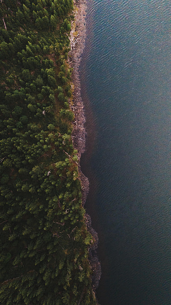 Nature, Water, View From Above, Coast, Forest HD phone wallpaper