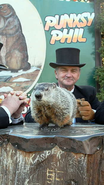 High-resolution , Groundhog's day, Unique , Eye-catching HD phone wallpaper