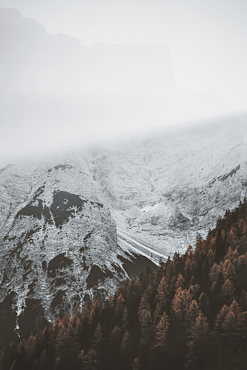 Nature, Mountains, Snow, Forest, Fog HD phone wallpaper