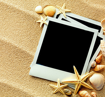 Seashells, starfish, sand HD wallpaper
