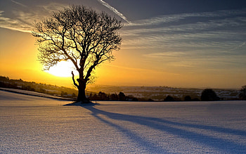 Sunset, winter, snow, clouds, sky, nature, sun, tree HD wallpaper
