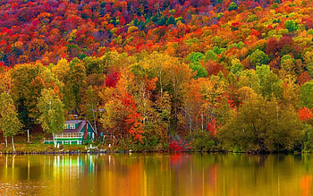 House on autumn lake, yellow lake, peisaj, red, autumn, toamna, orange, water HD wallpaper