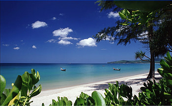 beach, summer, sand, boats, trees, water HD wallpaper