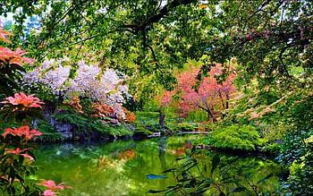 Beautiful Garden Nature, nature, beautiful, garden HD wallpaper