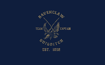 Quidditch , Magical sport, Exciting moments, Thrilling gameplay HD wallpaper