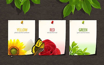 The Colors OF Spring, rose, abstract, butterfly, yellow, green, red, sunflower HD wallpaper