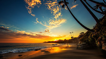 Sunset at the beach, sky, sea, palms, coast, colors, clouds HD wallpaper