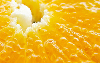 Macro, Fruit, Tasty, Delicious HD wallpaper