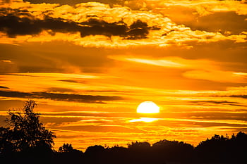 Dramatic golden sunset with silhouetted trees creating a vibrant sky landscape. HD wallpaper