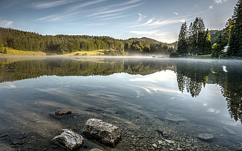 Morning at the Lake, fog, reflection, morning, lake HD wallpaper