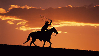 Sunset, Dark, Silhouette, Evening, Horse, Horseman, Rider HD wallpaper