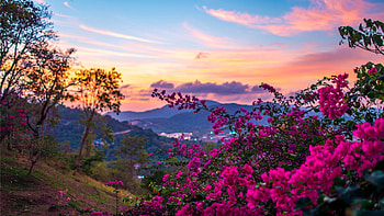Promise of Spring, hills, blossoms, colors, clouds, trees, sky, flowers, mountains HD wallpaper