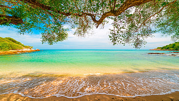 Soft waves, beach, sunny day, green sea HD wallpaper