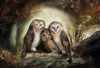 Three Owl Moon, artwork, owls, birds, painting, raptors HD wallpaper