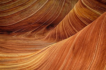 Breathtaking view of the vibrant undulating sandstone formations in The Wave, Arizona. HD wallpaper