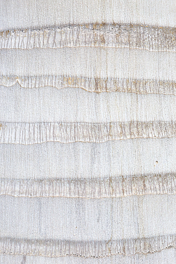 Texture, Textures, Wall, Stripes, Streaks, Cracks, Crack HD phone wallpaper
