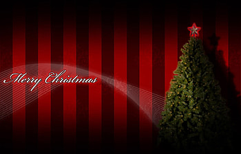 Christmas, holidays, lights, peace, joy, tree HD wallpaper