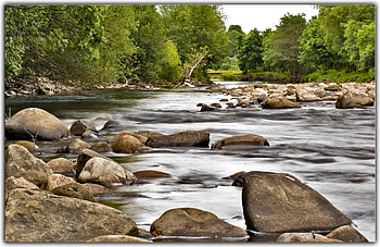 River, forests, nature, rocks, rivers HD wallpaper