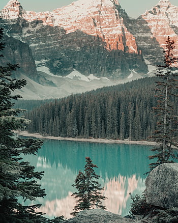 Scenic view of Moraine Lake with snow-capped mountains and pine forests reflecting on the water. HD phone wallpaper