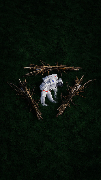 Grass, Miscellanea, Miscellaneous, Branches, Cosmonaut, Spacesuit, Space Suit HD phone wallpaper