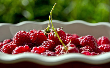 Food, Raspberry, Berries, Shadow, Plate HD wallpaper