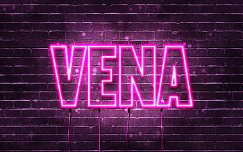 Vena, , with names, female names, Vena name, purple neon lights, Vena Birtay, Happy Birtay Vena, popular italian female names, with Vena name HD wallpaper