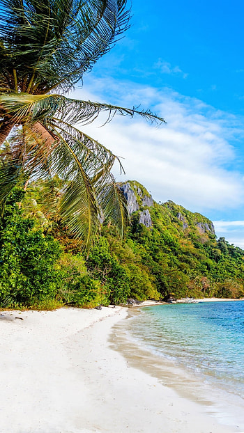 Beach Philippines , Michelle Peltier, Tropical dream, Seaside bliss HD phone wallpaper