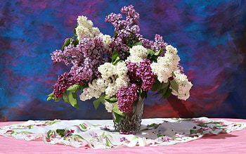 Lilacs, table cloth, vase, bouquet HD wallpaper