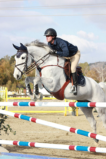 Equestrian life, Equestrian passion, Human-horse connection, Eventing HD phone wallpaper