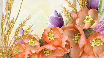 Grains Tag - Miracle Nature Flowers Autumn Peach Grass Lavender Wheat Summer Fall Orange Oats Soft HD wallpaper