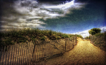 Day At The Beach, day, beach HD wallpaper