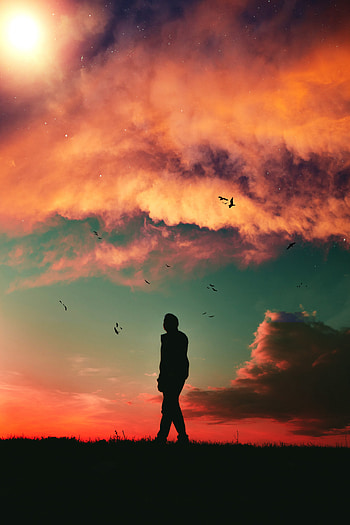 Birds, Sky, Twilight, Clouds, Dark, Silhouette, Miscellanea, Miscellaneous, Dusk HD phone wallpaper