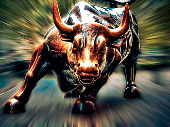 Wall Street Bull HD wallpaper