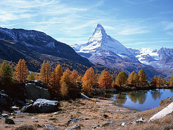 Nature, Trees, Stones, Autumn, Peak, Shore, Bank, Row HD wallpaper
