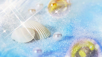 Background, Shells HD wallpaper